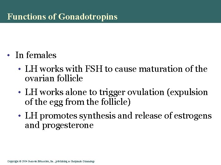 Functions of Gonadotropins • In females • LH works with FSH to cause maturation