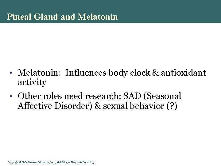 Pineal Gland Melatonin • Melatonin: Influences body clock & antioxidant activity • Other roles