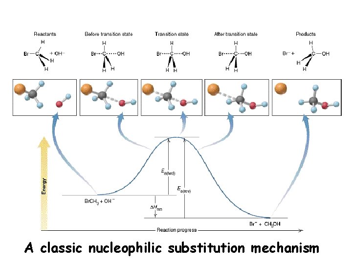 A classic nucleophilic substitution mechanism 