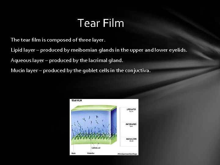 Tear Film The tear film is composed of three layer. Lipid layer – produced Tear Film The tear film is composed of three layer. Lipid layer – produced