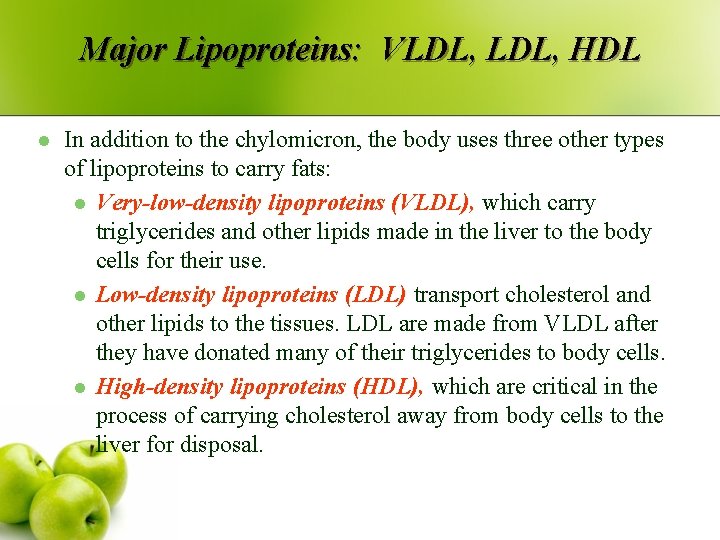 Major Lipoproteins: VLDL, HDL l In addition to the chylomicron, the body uses three