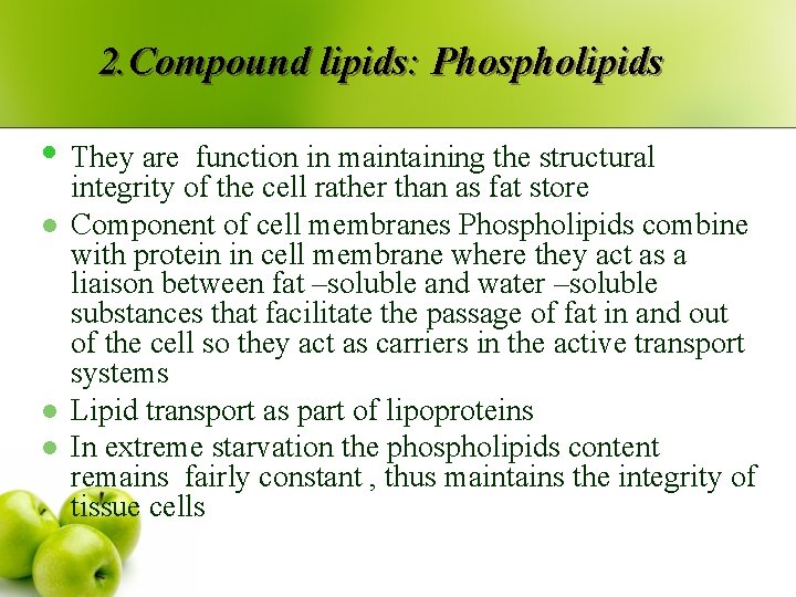 2. Compound lipids: Phospholipids • They are l l l function in maintaining the