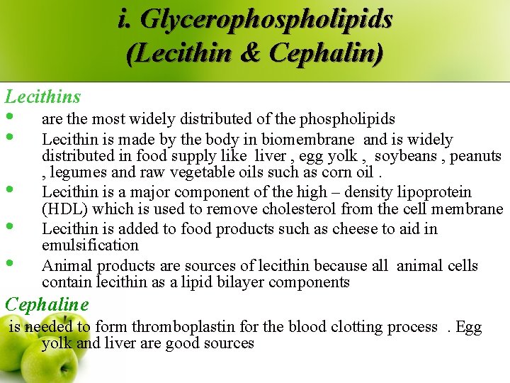 i. Glycerophospholipids (Lecithin & Cephalin) Lecithins • • • are the most widely distributed