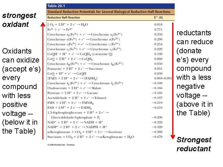 strongest oxidant Oxidants can oxidize (accept e’s) every compound with less positive voltage --