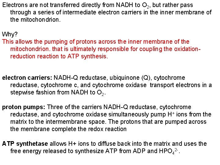 Electrons are not transferred directly from NADH to O 2, but rather pass through