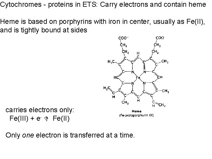Cytochromes - proteins in ETS: Carry electrons and contain heme Heme is based on