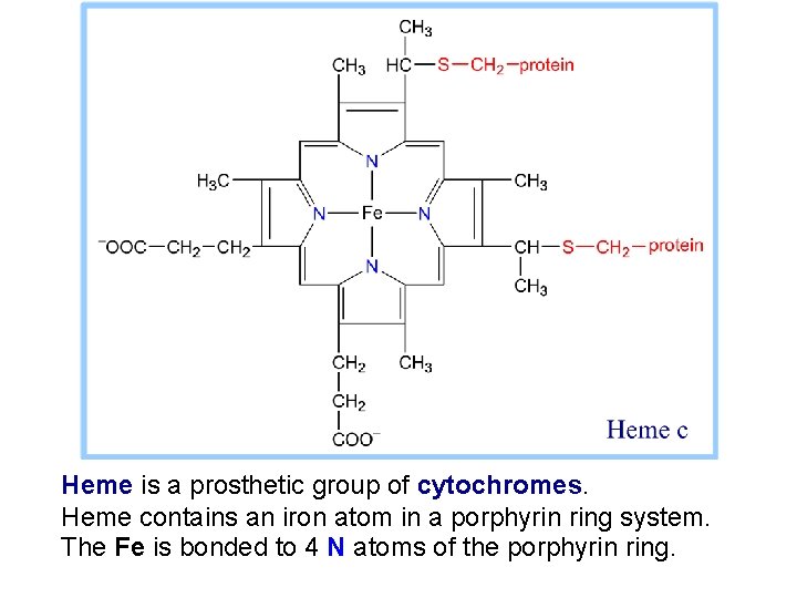 Heme is a prosthetic group of cytochromes. Heme contains an iron atom in a