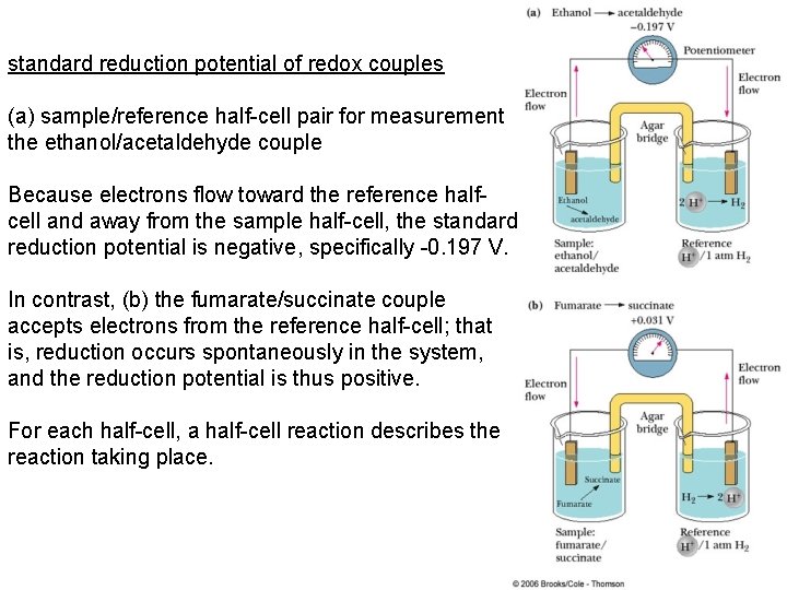 standard reduction potential of redox couples (a) sample/reference half-cell pair for measurement the ethanol/acetaldehyde