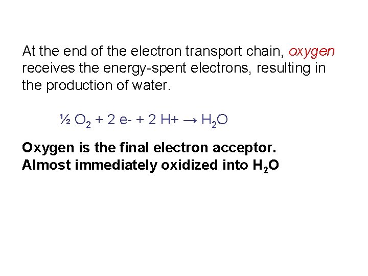 At the end of the electron transport chain, oxygen receives the energy-spent electrons, resulting