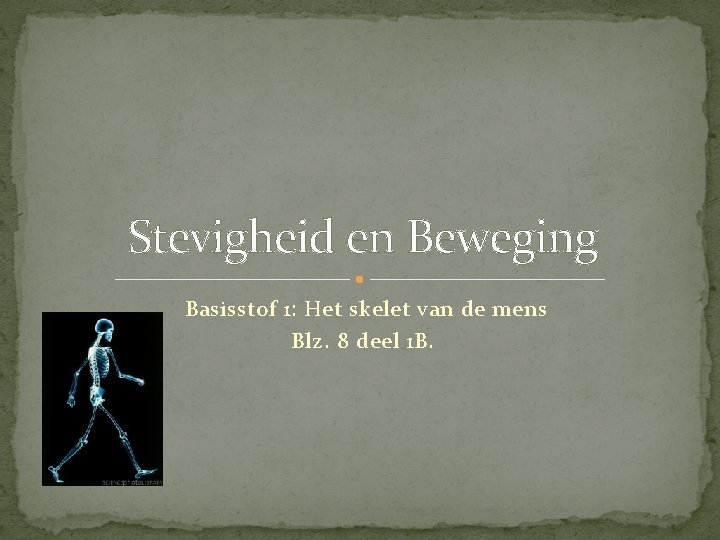 Stevigheid en Beweging Basisstof 1: Het skelet van de mens Blz. 8 deel 1