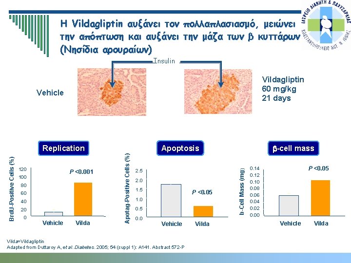 Η Vildagliptin αυξάνει τον πολλαπλασιασμό, μειώνει την απόπτωση και αυξάνει την μάζα των β