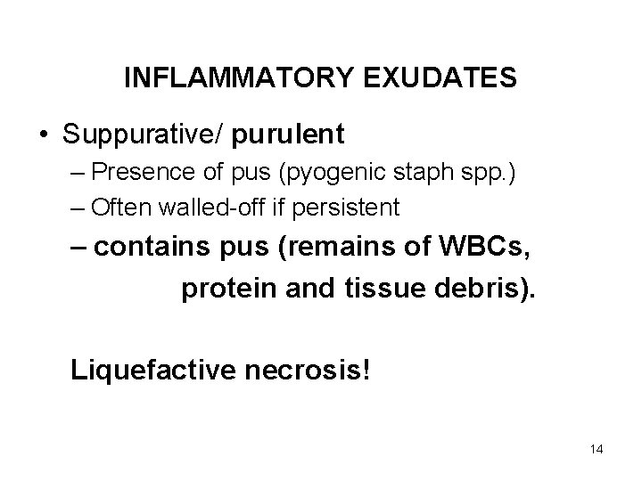 INFLAMMATORY EXUDATES • Suppurative/ purulent – Presence of pus (pyogenic staph spp. ) –