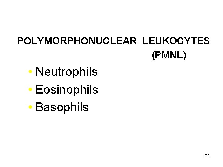 HOST DEFENSE POLYMORPHONUCLEAR LEUKOCYTES (PMNL) • Neutrophils • Eosinophils • Basophils 28 