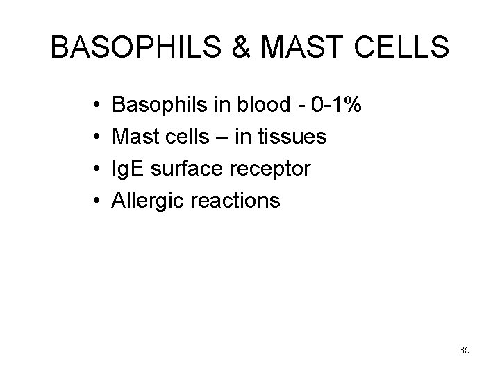 BASOPHILS & MAST CELLS • • Basophils in blood - 0 -1% Mast cells