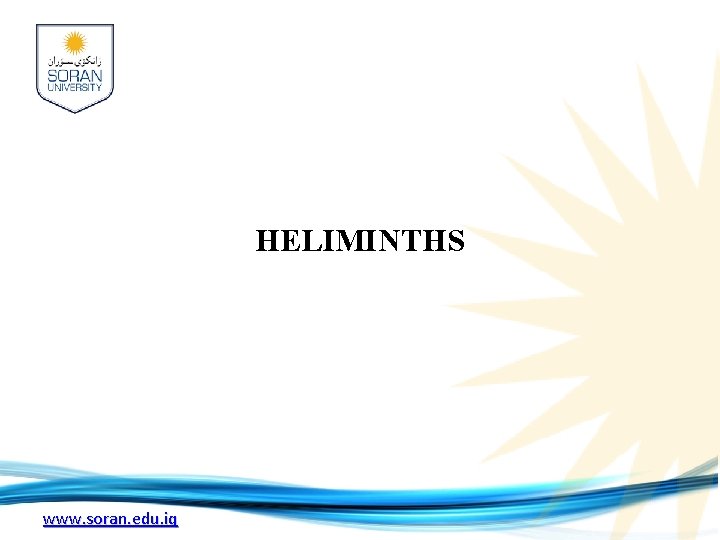 HELIMINTHS www. soran. edu. iq 