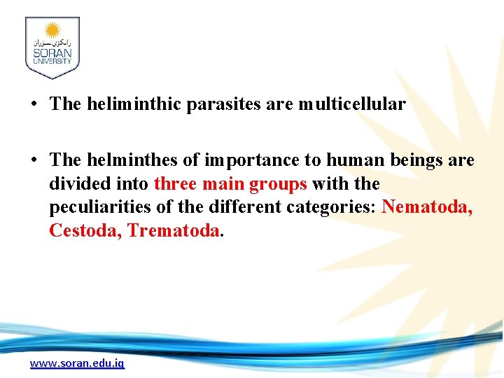  • The heliminthic parasites are multicellular • The helminthes of importance to human