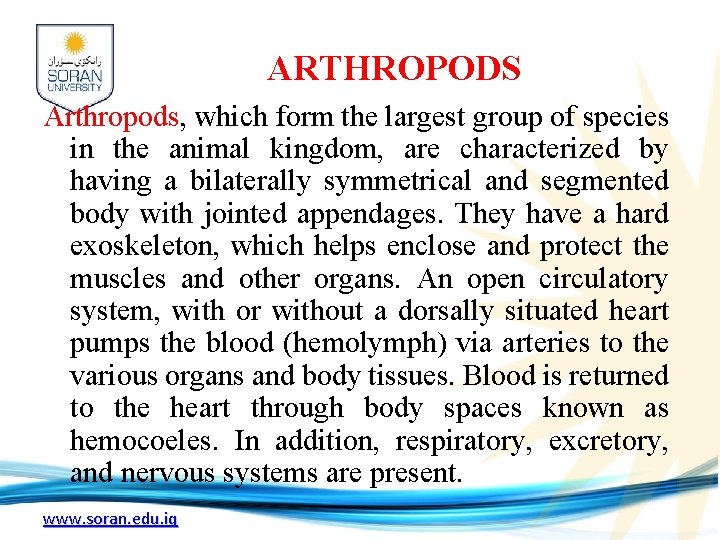 ARTHROPODS Arthropods, which form the largest group of species in the animal kingdom, are