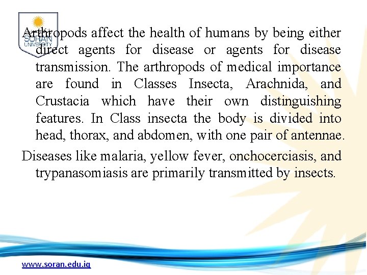 Arthropods affect the health of humans by being either direct agents for disease or