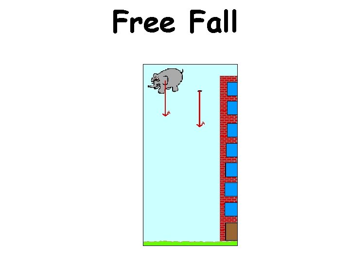 Free Fall 