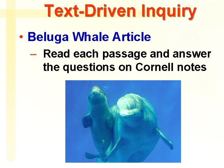 Text-Driven Inquiry • Beluga Whale Article – Read each passage and answer the questions