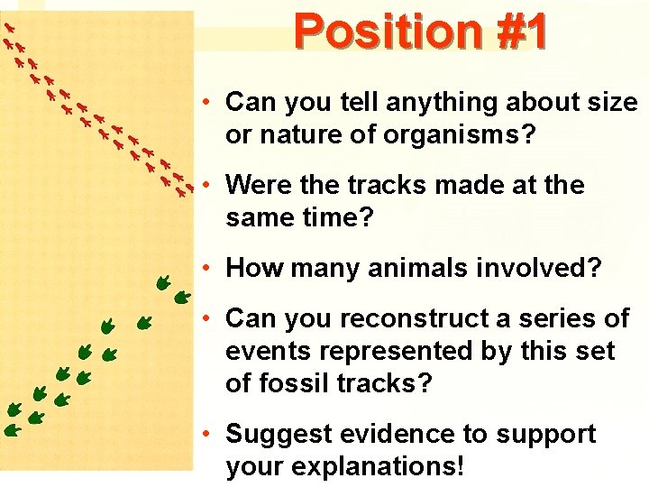 Position #1 • Can you tell anything about size or nature of organisms? •