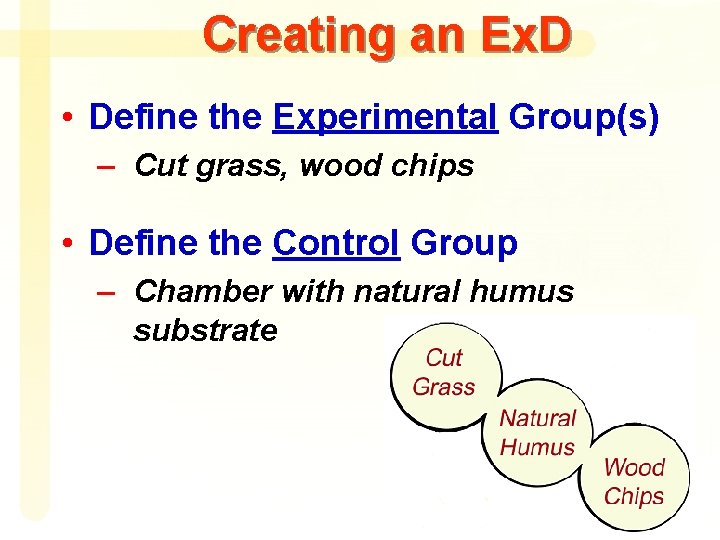 Creating an Ex. D • Define the Experimental Group(s) – Cut grass, wood chips