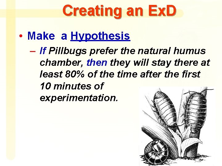 Creating an Ex. D • Make a Hypothesis – If Pillbugs prefer the natural