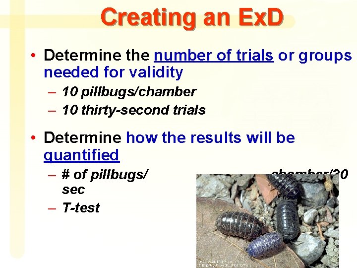 Creating an Ex. D • Determine the number of trials or groups needed for