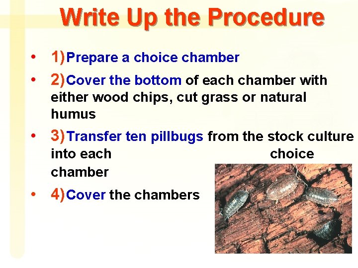 Write Up the Procedure • 1) Prepare a choice chamber • 2) Cover the