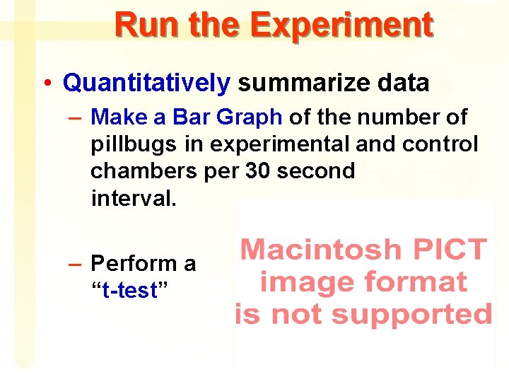 Run the Experiment • Quantitatively summarize data – Make a Bar Graph of the