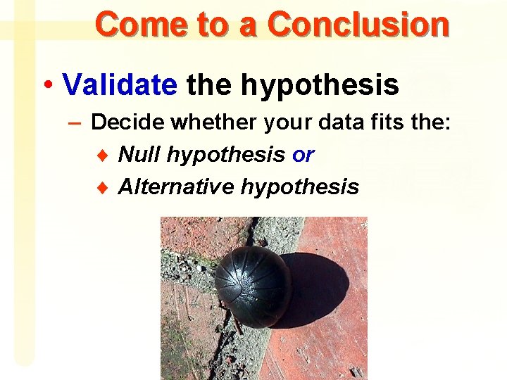 Come to a Conclusion • Validate the hypothesis – Decide whether your data fits