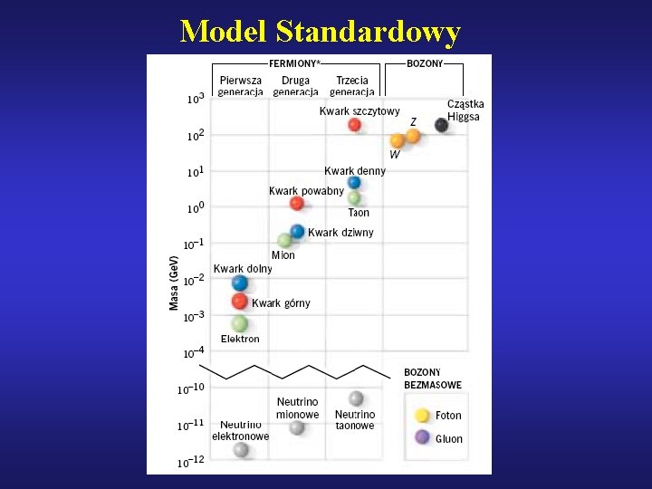 Model Standardowy 