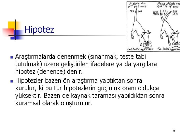 Hipotez n n Araştırmalarda denenmek (sınanmak, teste tabi tutulmak) üzere geliştirilen ifadelere ya da