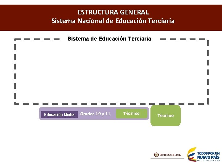 ESTRUCTURA GENERAL Sistema Nacional de Educación Terciaria Sistema de Educación Terciaria Educación Media Grados