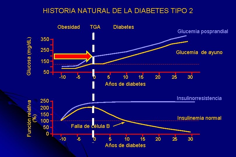 HISTORIA NATURAL DE LA DIABETES TIPO 2 Glucosa (mg/d. L) Obesidad TGA Diabetes Glucemia
