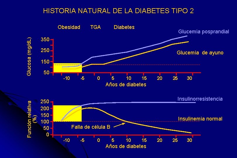 HISTORIA NATURAL DE LA DIABETES TIPO 2 Glucosa (mg/d. L) Obesidad TGA Diabetes Glucemia