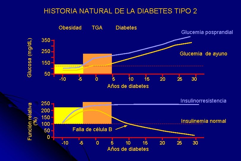 HISTORIA NATURAL DE LA DIABETES TIPO 2 Glucosa (mg/d. L) Obesidad TGA Diabetes Glucemia