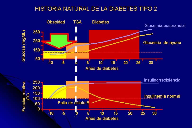 HISTORIA NATURAL DE LA DIABETES TIPO 2 Glucosa (mg/d. L) Obesidad TGA Diabetes Glucemia