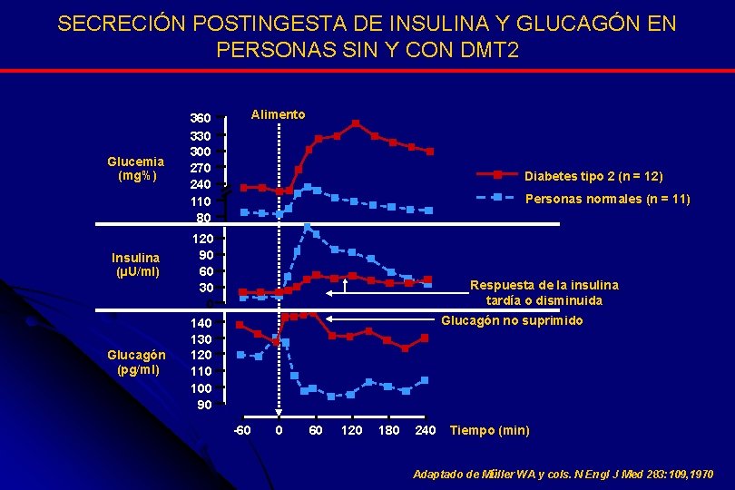 SECRECIÓN POSTINGESTA DE INSULINA Y GLUCAGÓN EN PERSONAS SIN Y CON DMT 2 Glucemia