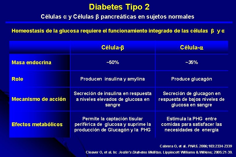  Diabetes Tipo 2 Células α y Células β pancreáticas en sujetos normales Homeostasis