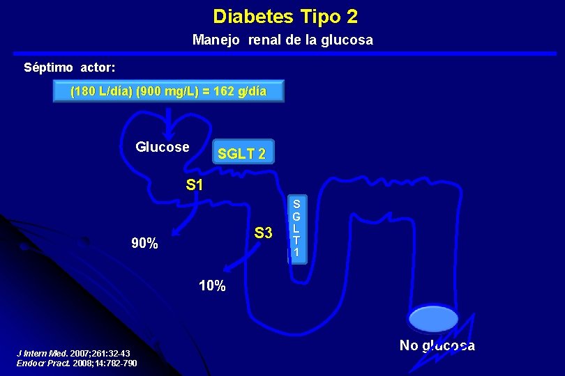  Diabetes Tipo 2 Manejo renal de la glucosa Séptimo actor: (180 L/día) (900