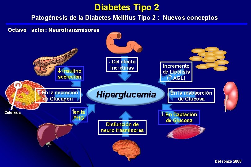  Diabetes Tipo 2 Patogénesis de la Diabetes Mellitus Tipo 2 : Nuevos conceptos