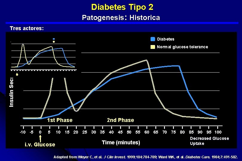  Diabetes Tipo 2 Patogenesis: Historica Tres actores: Diabetes Normal glucose tolerance Insulin Secretion