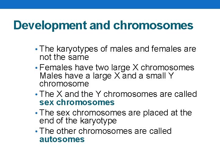Development and chromosomes • The karyotypes of males and females are not the same