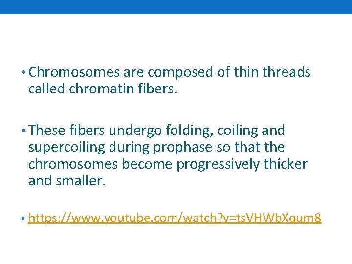  • Chromosomes are composed of thin threads called chromatin fibers. • These fibers