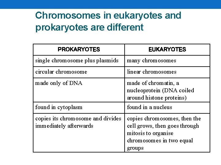Chromosomes in eukaryotes and prokaryotes are different PROKARYOTES EUKARYOTES single chromosome plus plasmids many