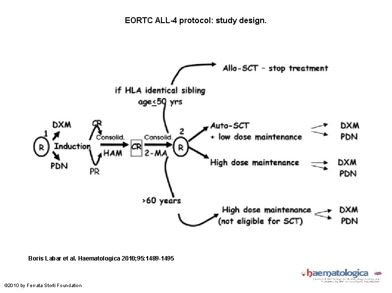 EORTC ALL-4 protocol: study design. Boris Labar et al. Haematologica 2010; 95: 1489 -1495