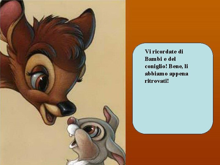 Vi ricordate di Bambi e del coniglio! Bene, li abbiamo appena ritrovati! 