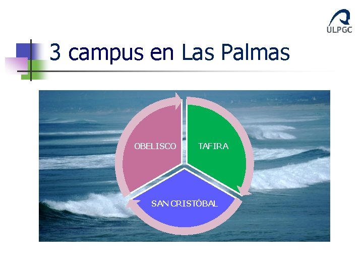 3 campus en Las Palmas OBELISCO TAFIRA SAN CRISTÓBAL 