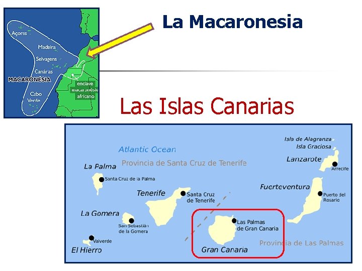 La Macaronesia Las Islas Canarias 